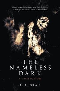 bokomslag The Nameless Dark