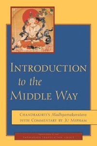 bokomslag Introduction to the Middle Way