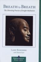 Larry Rosenberg - Breath by Breath, Häftad