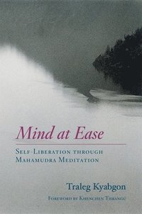 bokomslag Mind at Ease