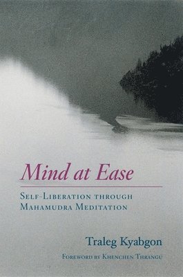 bokomslag Mind at Ease