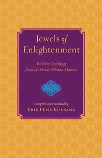 bokomslag Jewels of Enlightenment