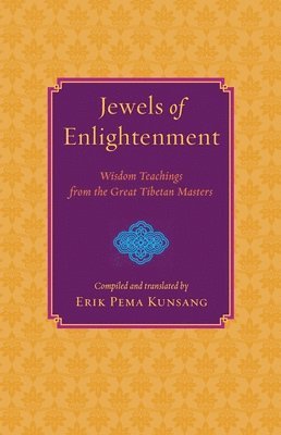 bokomslag Jewels of Enlightenment