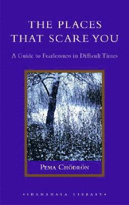 The Places That Scare You: A Guide to Fearlessness in Difficult Times 1