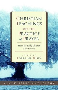 bokomslag Christian Teachings on the Practice of Prayer: From the Early Church to the Present