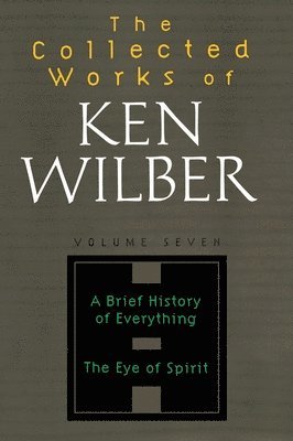 bokomslag Collected Works of Ken Wilber: v.7