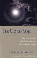 Dzigar Kongtrul - It's Up to You, Häftad