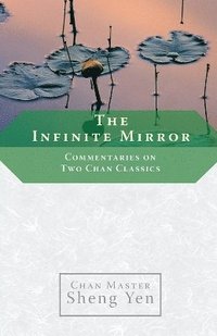 bokomslag The Infinite Mirror