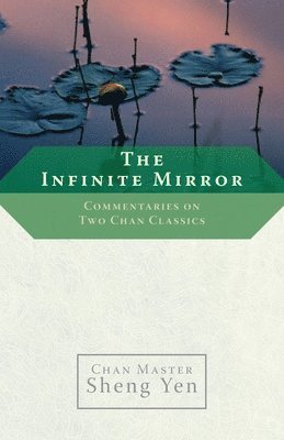 bokomslag Infinite Mirror