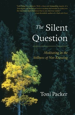 The Silent Question: Meditating in the Stillness of Not-Knowing