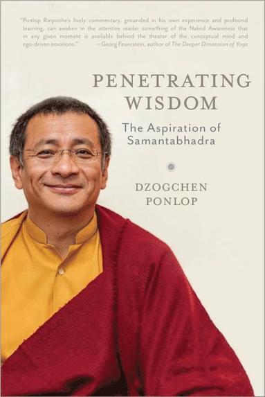 bokomslag Penetrating Wisdom