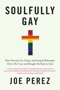 bokomslag Soulfully Gay: How Harvard, Sex, Drugs, and Integral Philosophy Drove Me Crazy and Brought Me Back to God