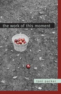 bokomslag Work of This Moment
