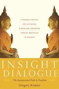 bokomslag Insight Dialogue