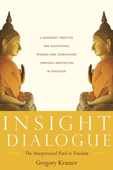 bokomslag Insight Dialogue