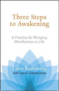 bokomslag Three Steps to Awakening