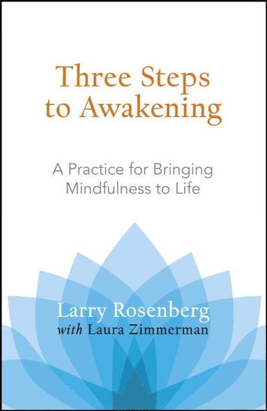 bokomslag Three Steps to Awakening