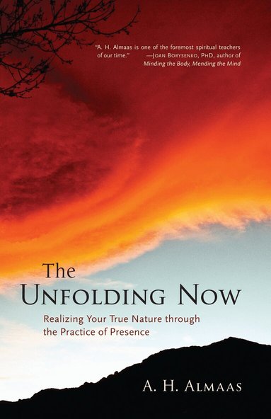 A. H. Almaas - Unfolding Now, Häftad