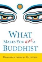 bokomslag What Makes You Not a Buddhist