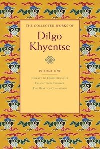 bokomslag The Collected Works of Dilgo Khyentse, Volume One