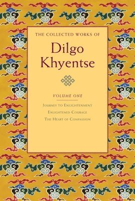 bokomslag The Collected Works of Dilgo Khyentse, Volume One