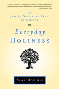 bokomslag Everyday Holiness