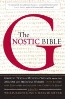 bokomslag The Gnostic Bible