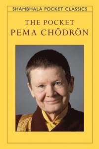 bokomslag The Pocket Pema Chodron