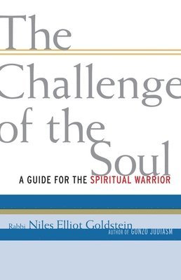 bokomslag The Challenge of the Soul: A Guide for the Spiritual Warrior