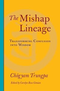 bokomslag The Mishap Lineage