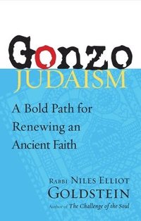 bokomslag Gonzo Judaism