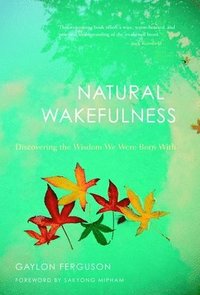 bokomslag Natural Wakefulness