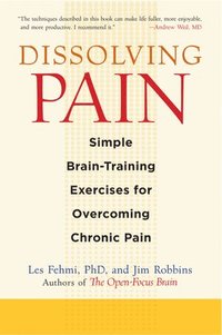 bokomslag Dissolving Pain