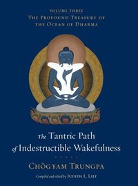 bokomslag The Tantric Path of Indestructible Wakefulness