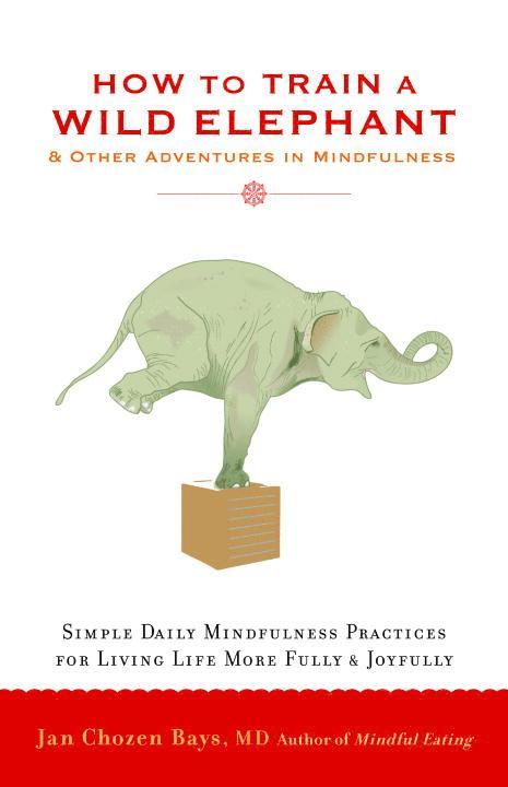 Jan Chozen Bays - How to Train a Wild Elephant, Häftad