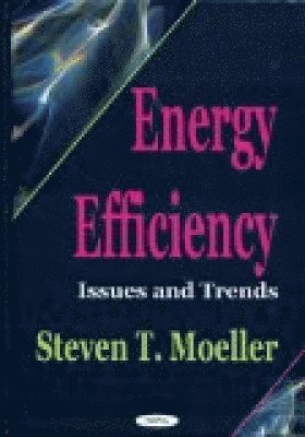 Energy Efficiency 1