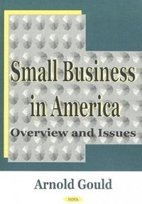 bokomslag Small Business in America