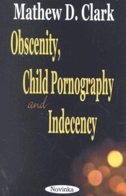 bokomslag Obscenity, Child Pornography & Indecency