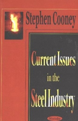 Current Issues in the Steel Industry 1