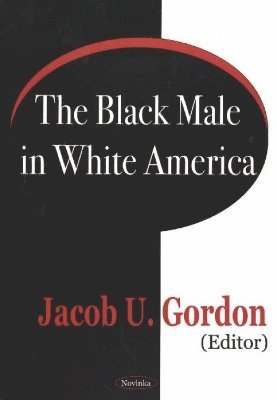 bokomslag Black Male in White America