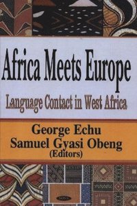 bokomslag Africa Meets Europe