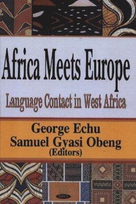 bokomslag Africa Meets Europe