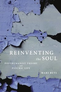bokomslag Reinventing the Soul