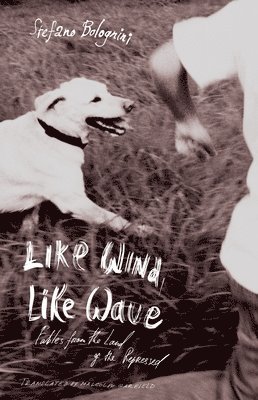 Like Wind, Like Wave 1