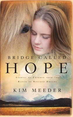 Kim Meeder - Bridge Called Hope, Häftad