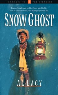 bokomslag Snow Ghost