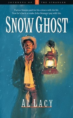 bokomslag Snow Ghost