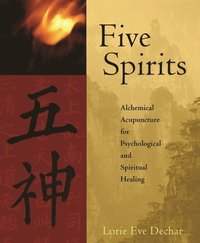 bokomslag Five Spirits