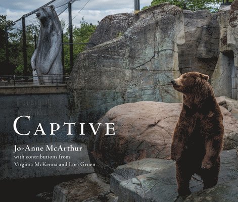 Captive 1