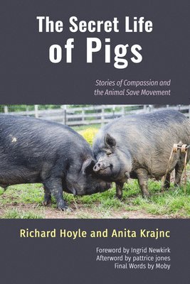 The Secret Life of Pigs 1